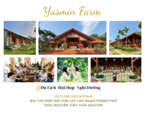 Yasmin Farm điểm đến của mọi nhà