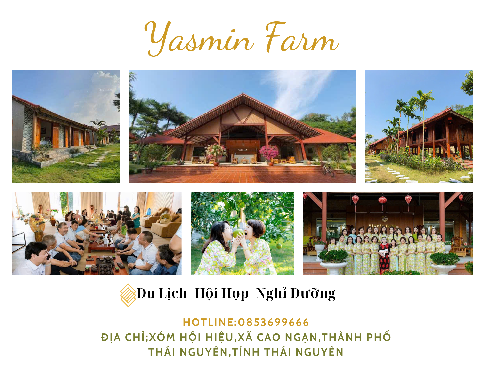 Yasmin Farm điểm đến của mọi nhà