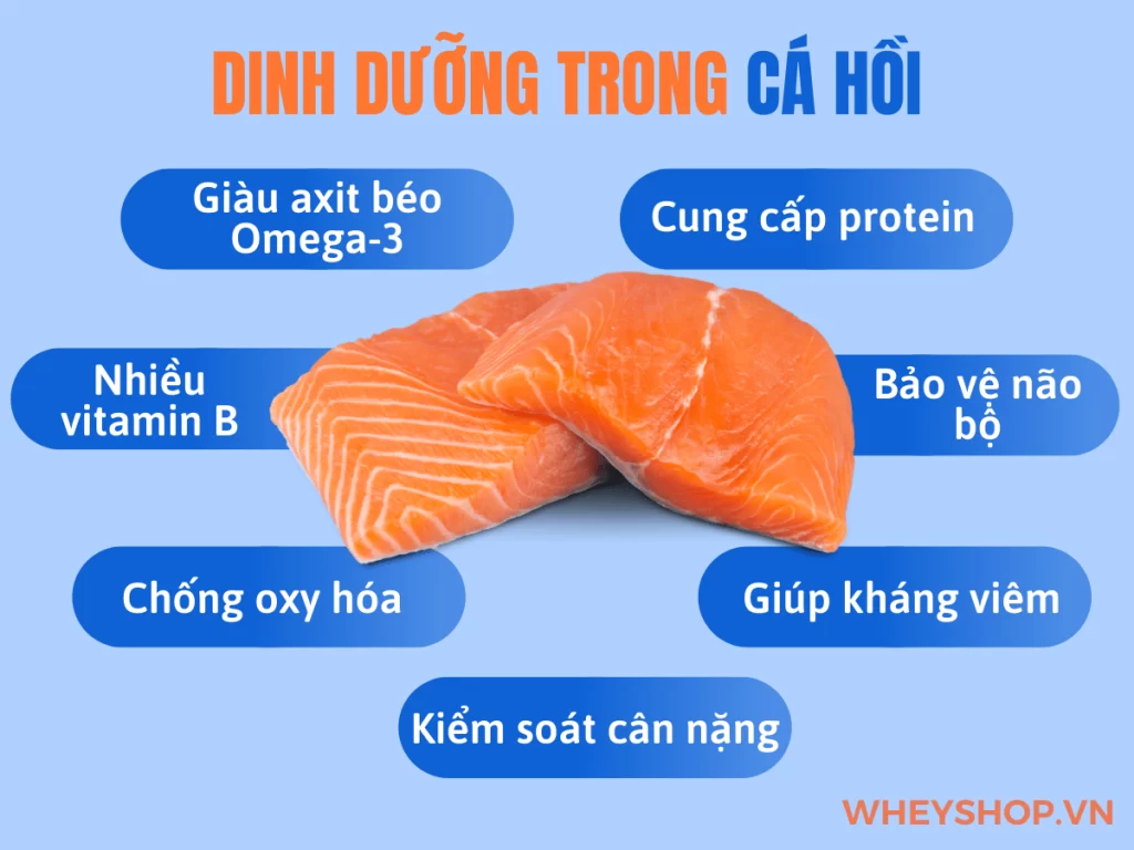 thông tin dinh dưỡng của cá hồi giàu omega 3 và protein


