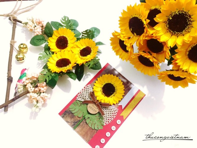 hoa hướng dương