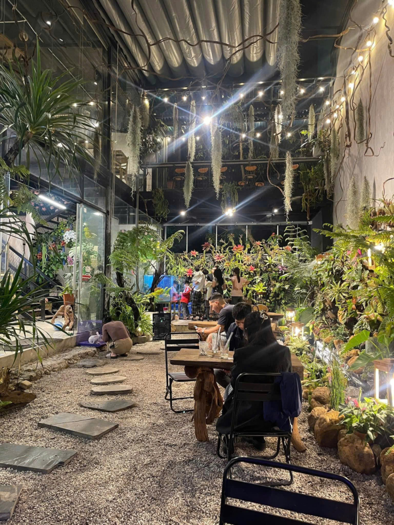 quán cà phê nuôi kì nhông