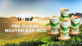 Trà Ô Long Nguyên Bản Mộc