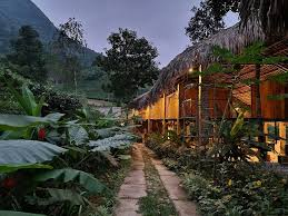 Dao’s House Hoàng Nông