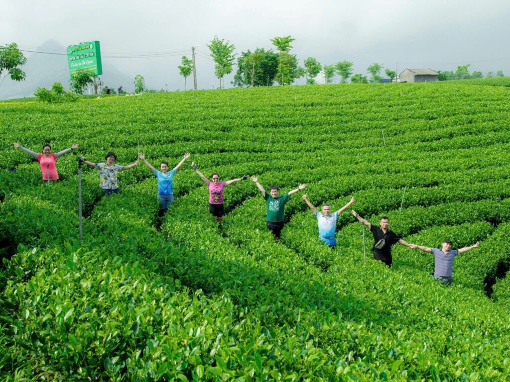 đồi trè thiên nhiên