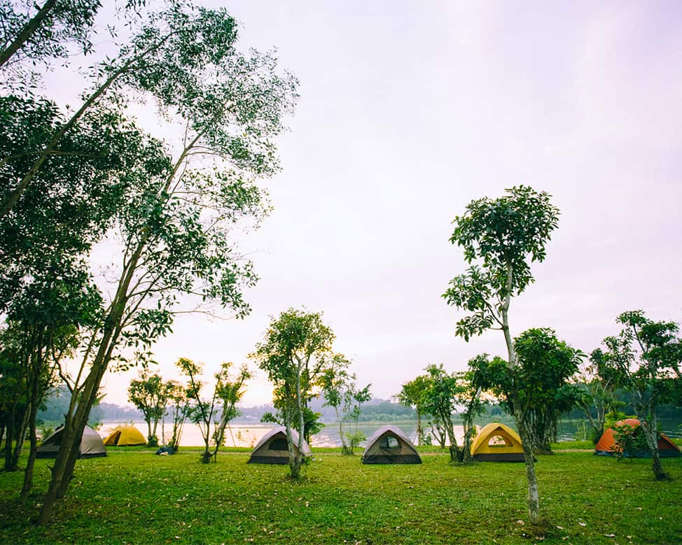 Serum Rau Má: 10 Bí Quyết Dưỡng Da Mịn Màng, Phục Hồi Và Làm Dịu Da Hiệu Quả